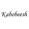 Kabobeesh - South Street